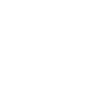 Lightbulb Icon