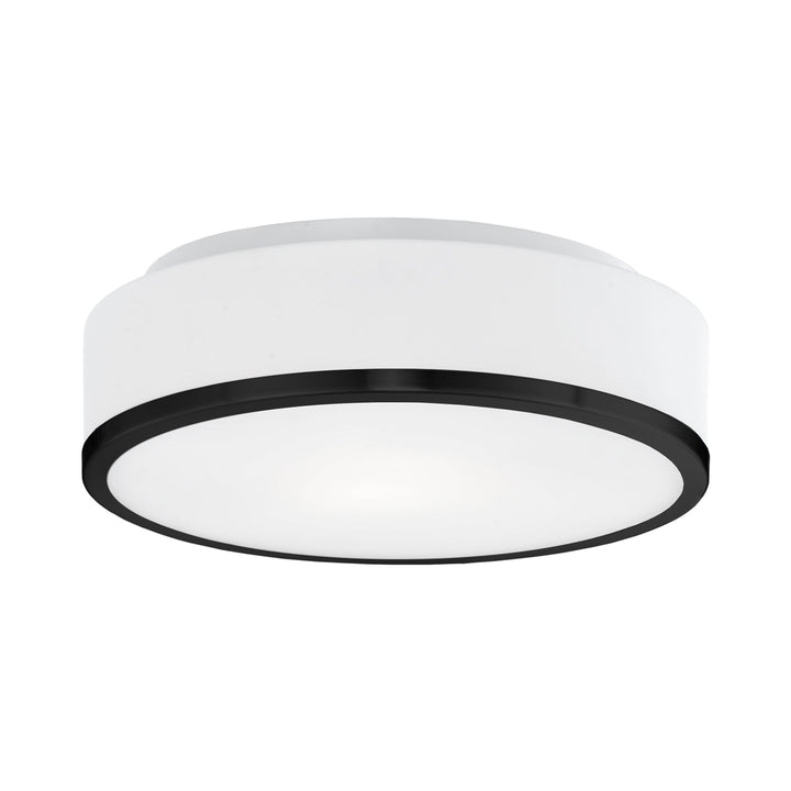 Charlie 12-in Flush Mount