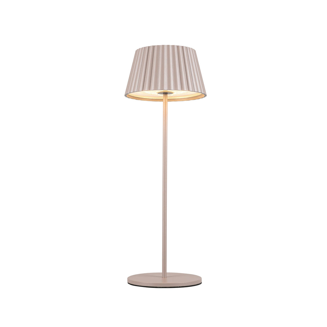 Dario 14-in Table Lamp