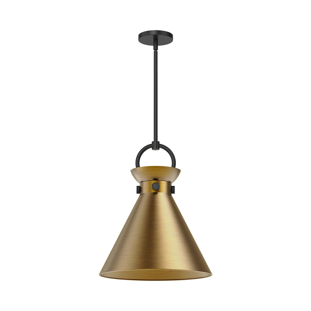 Emerson 14-in Pendant