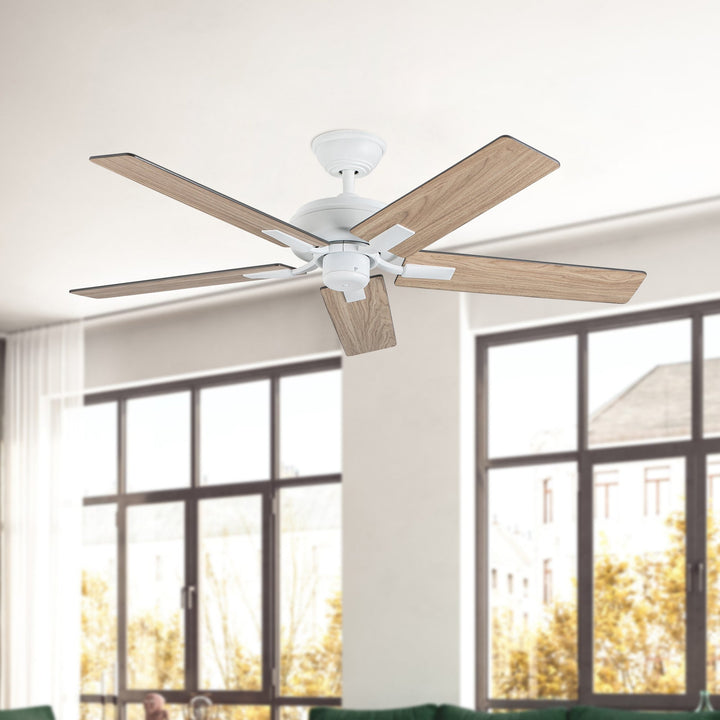 Erikson 52-in Ceiling Fan