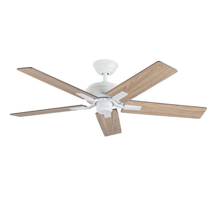 Erikson 52-in Ceiling Fan