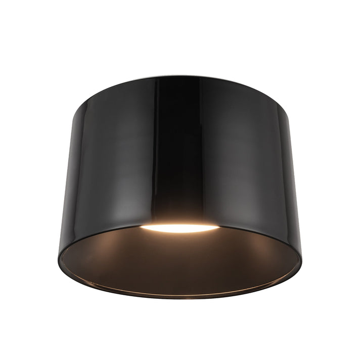 Etta 20-in Flush Mount