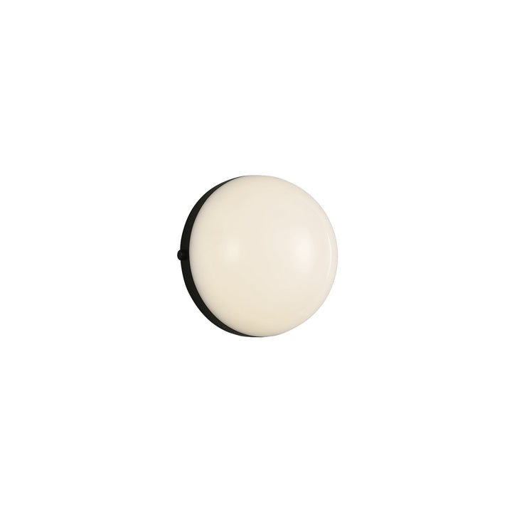 Globo 7-in Wall/Vanity Light